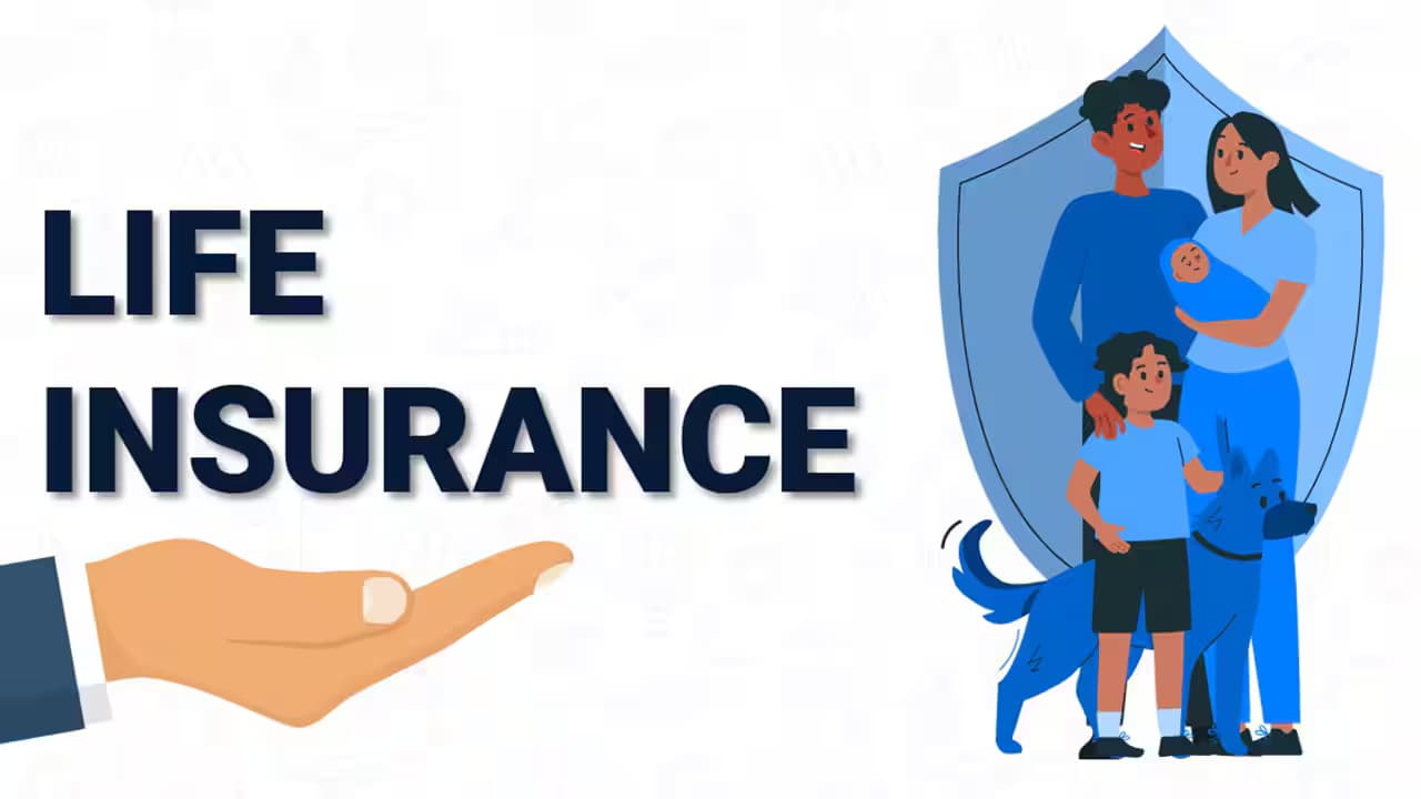 Life Insurance Quotes: Compare Affordable Coverage Options That Fit Real Life