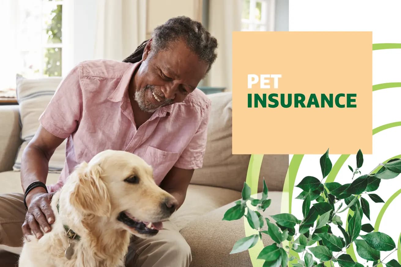 Pet Insurance for Seniors in the U.S.: A Complete Guide to Coverage, Costs, and Smarter Financial Protection