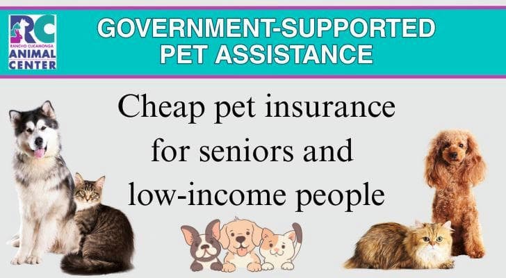 2026 Government-Backed Pet Assistance Programs & Affordable Pet Insurance Options